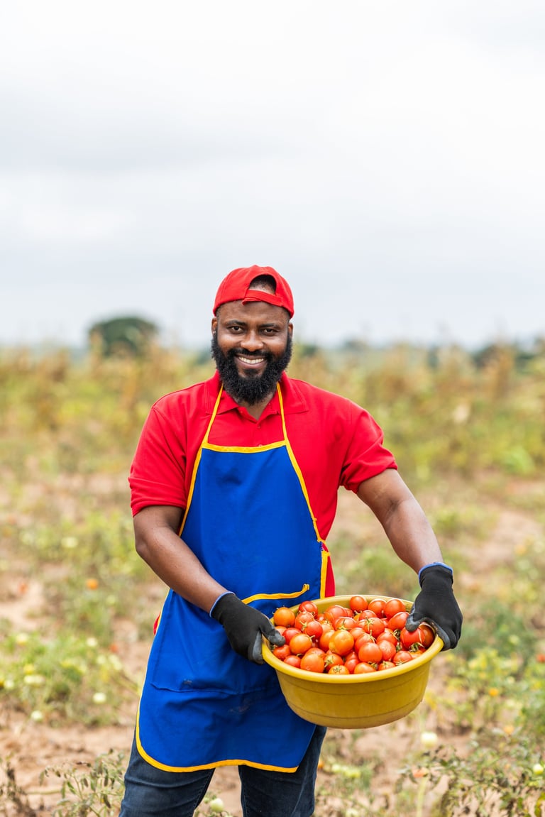 African farmer holding harvest Ghana