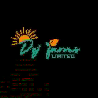 DJ Franko Limited logo with sun and leaf design on black background